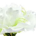 Floristik24 Amaryllis blomma vit L 73cm 2st