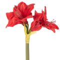 Konstgjord röd amaryllisblomma med stjälk, blomsterdekoration till jul, 50 cm | Floristik24.se