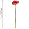 Konstgjord amaryllisblomma, röd, lång stjälk, för vas och arrangemang, 77 cm | Floristik24.se