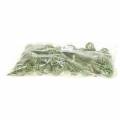 Floristik24 Sweetgum kottar grön frostad 250g