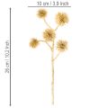 Konstgjord bärnstensfruktgren, gulddekoration, 26 cm bunt med 6 | Floristik24.se