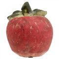 Floristik24 Äpple för dekoration, höst, dekorativ frukt av betong, bordsdekoration Ø13cm