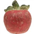 Floristik24 Dekorativt äpple, höst, bordsdekoration, betong H17cm Ø15cm