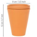 Aquasafe vattenbehållare med insektsdryck för trädgård, balkong, terrass, 12 cm, 3 delar | Floristik24.se
