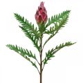 Floristik24 Kronärtskocka Kronärtskocka Rosa Konstgjorda växter Deco Höst H68cm