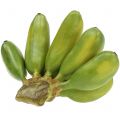 Floristik24 Baby banan flerårig konstgjord grön 13cm