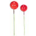 Floristik24 Mini julgranskulor med konstgjorda röda bär för blomsterdekoration, 2 cm, 48 stycken