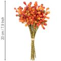 En knippe apelsinbär, 20 cm långa | Floristik24.se