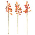 En knippe apelsinbär, 20 cm långa | Floristik24.se