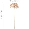 Konstgjord bärgren, champagnefärgad dekoration, 28 cm, 3 stycken | Floristik24.se