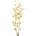 Floristik24 Konstgjord bärgrendekoration, guld, 70 cm, 3 stycken