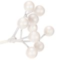 Konstgjord vit bärgren, dekorations-/pysselmaterial, 52 cm | Floristik24.se
