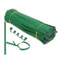 Floristik24 Bindremsor långa gröna 30cm dubbeltråd 1000p