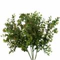 Floristik24 Boxwood dekorativ gren grön 40cm