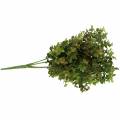 Floristik24 Boxwood dekorativ gren grön 40cm