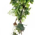 Bladgirlang deco girlander konstgjord växt grön 180cm