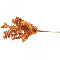 Floristik24 Konstgjorda växter höstdekoration konstgjorda grenblad orange 46cm