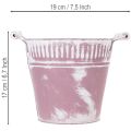 Plåthink, lila och vitkalkad, Ø19cm H17cm, 1 st. | Floristik24.se