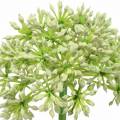 Floristik24 Allium konstgjord vit 55cm