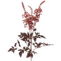 Floristik24 Konstgjord blomma Astilbe långstjälkad prakt 80cm