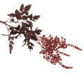 Konstgjord blomma Astilbe