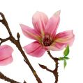 Floristik24 Magnolia mini rosa, rosa L53cm 3st
