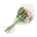 Floristik24 Hortensia rosa snöade 33cm 4st