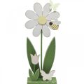 Floristik24 Blomma att sätta, vårdekoration med fjärilar H36,5cm