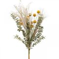 Konstgjorda blommor Craspedia fjäder gräs eukalyptus 55cm knippe