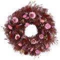 Floristik24 Blomkrans, torkad blomkrans, vinröd, rosa, Ø25cm