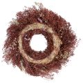 Blomkrans, torkad blomkrans, vinröd, rosa, Ø25cm | Floristik24.se