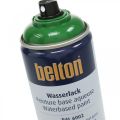 Floristik24 Belton fri vattenbaserad färg högblank färgspray 400ml