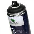 Floristik24 OASIS® Easy Color Spray, färgspray svart 400ml