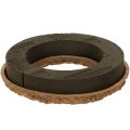 Floristik24 Blommig skumring OASIS® Renewal® Blommig skum Biolit® 24 cm 2 st