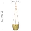 Glaskruka/hängande lykta, lila/grön, 14 cm, 2 st | Floristik24.se