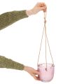 Glaskruka/hängande lykta, lila/grön, 14 cm, 2 st | Floristik24.se