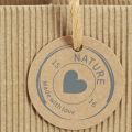 Blomkruka av papper räfflad med folie 12x12cm 8 st | Floristik24.se