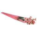Floristik24 Blompåse med hjärtan rosa För en ros 50cm 50st