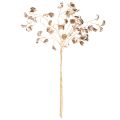 Bönblomsgren metallisk