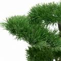 Floristik24 Bonsai -träd i keramisk kruka Japansk furu konstgjord H36cm
