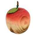 Floristik24 Päron och äpple från träsortiment 6,5cm-8,5cm 4st