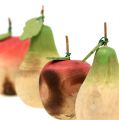 Floristik24 Päron och äpple från träsortiment 6,5cm-8,5cm 4st