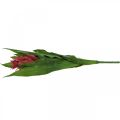 Floristik24 Bromeliad konstgjord Rosa konstgjord blomma att sticka 54cm