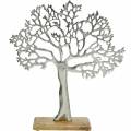 Floristik24 Metallträd, dekorativ bok på en träbas, silvermetalldekoration, livets träd, mangoträ