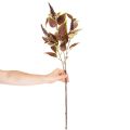 Konstgjord coleus med röda blad, konstgjord växt, 20 cm | Floristik24.se