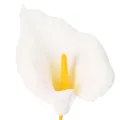 Konstgjord kallalilja med gul ståndare, dekorativa blommor, 35 cm, 10 st | Floristik24.se