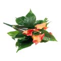 Floristik24 Calla Lily Aprikos Calla Konstgjorda Blommor Orange Exotisk 44cm