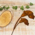 Trädgårdspåke Callablomma rost för gravar och blomsterhandel 25cm 6st | Floristik24.se