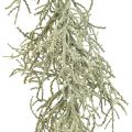 Floristik24 Calocephalus Garland Konstgjorda växter Silvergrå 122cm