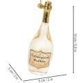 Set med hängen i form av champagneflaska och champagneglas, julgransdekoration, 14 cm, 2 delar | Floristik24.se